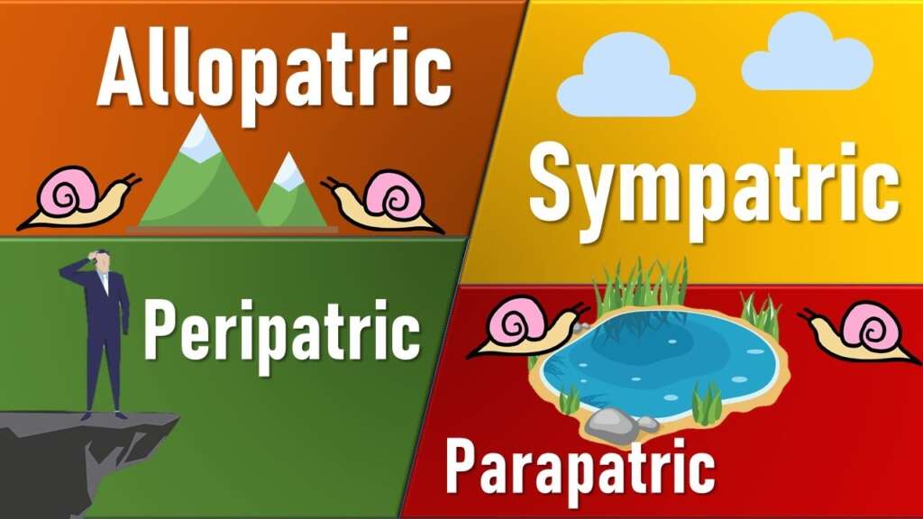 speciation-definition-types-factors-affecting-faqs